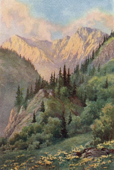 El valle de Tannin, valle de Lidar de Unbekannt Unbekannt